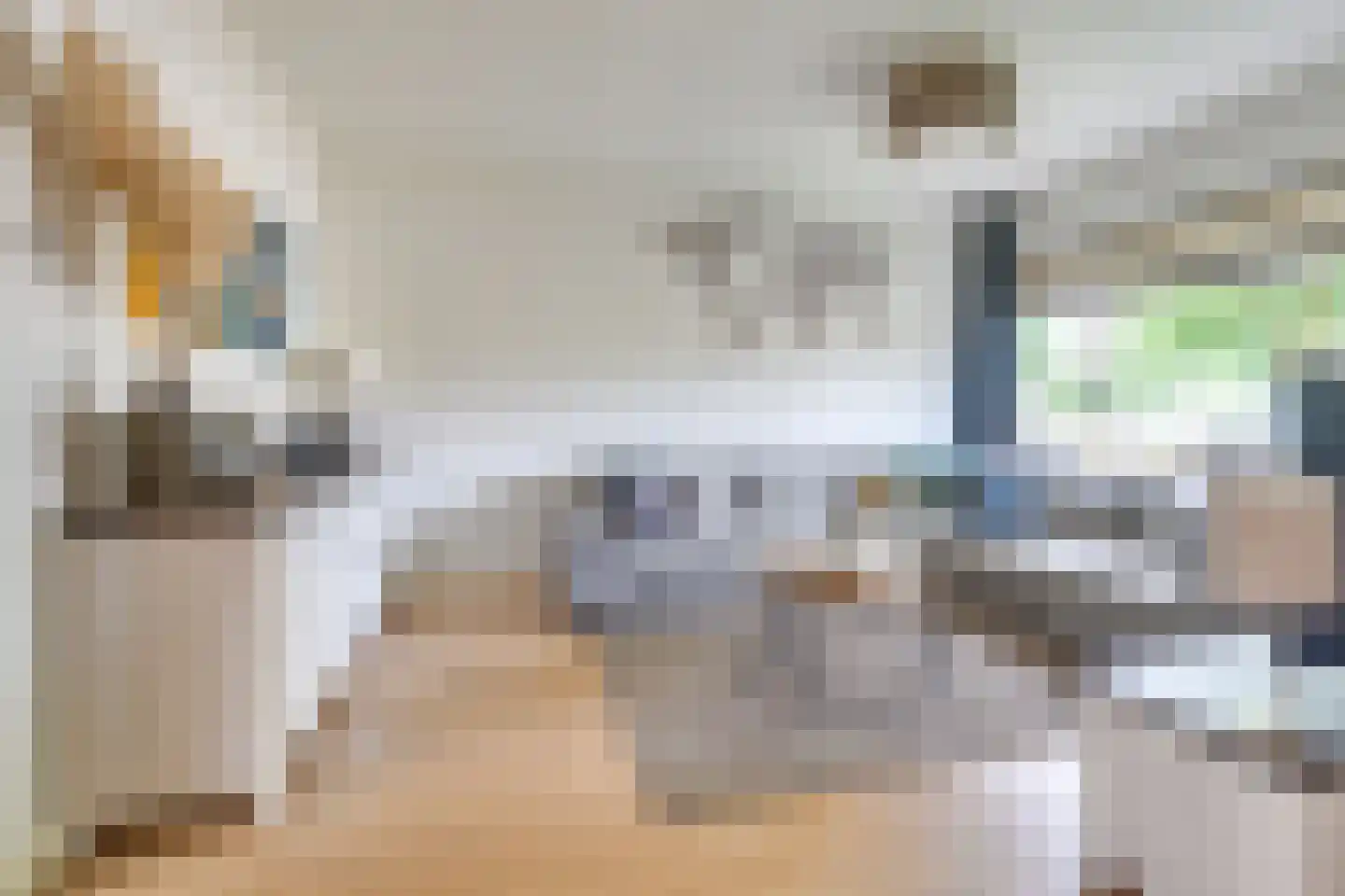 ten Borchwardlaan 62 Heeze thumbnail 6
