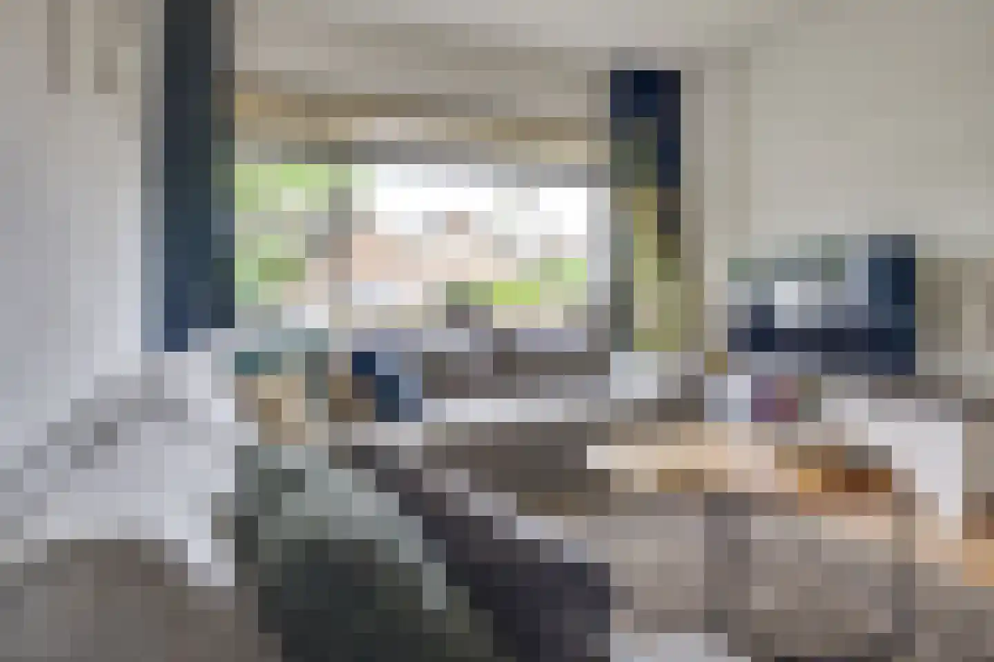 ten Borchwardlaan 62 Heeze thumbnail 8