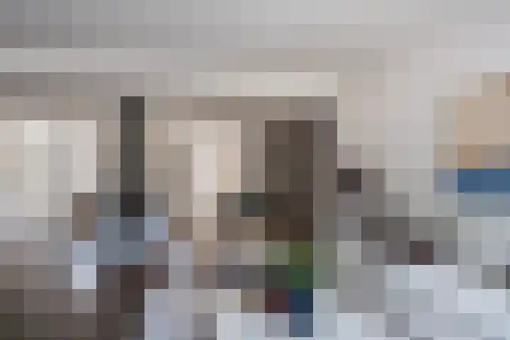 ten Borchwardlaan 70 Heeze thumbnail 11