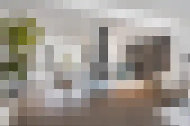 ten Borchwardlaan 70 Heeze thumbnail 12