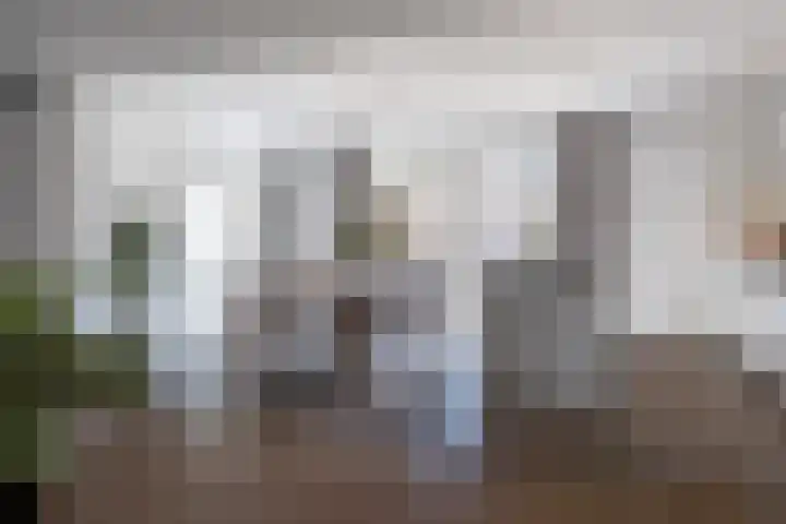 ten Borchwardlaan 70 Heeze thumbnail 14