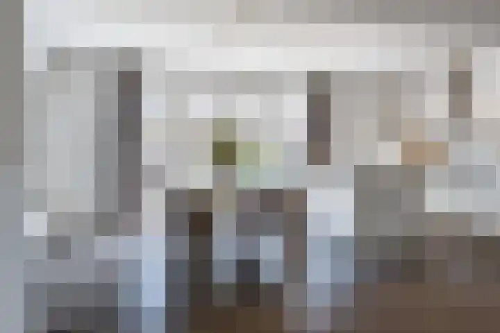ten Borchwardlaan 70 Heeze thumbnail 15