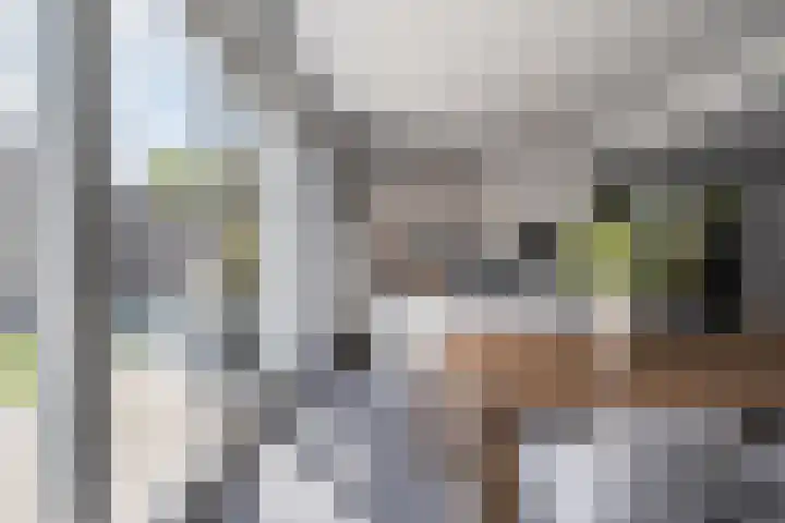 ten Borchwardlaan 70 Heeze thumbnail 16