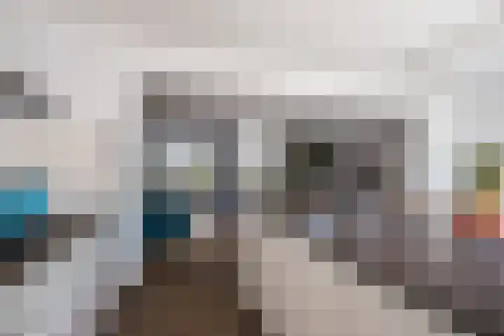 ten Borchwardlaan 70 Heeze thumbnail 17