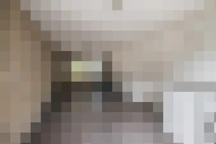 ten Borchwardlaan 70 Heeze thumbnail 18