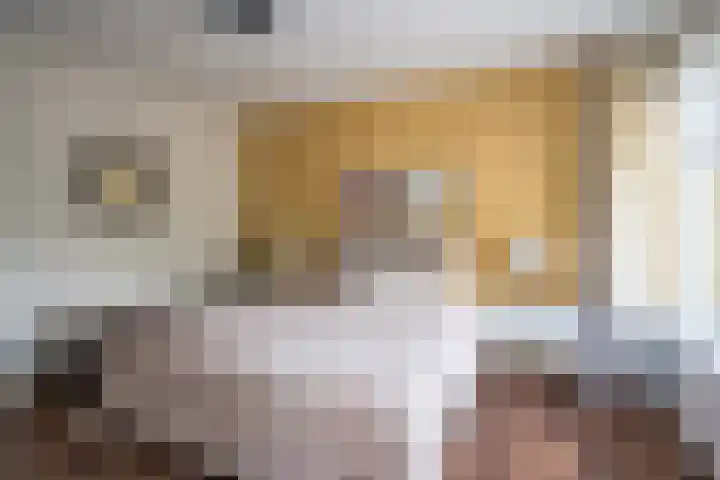 ten Borchwardlaan 70 Heeze thumbnail 21