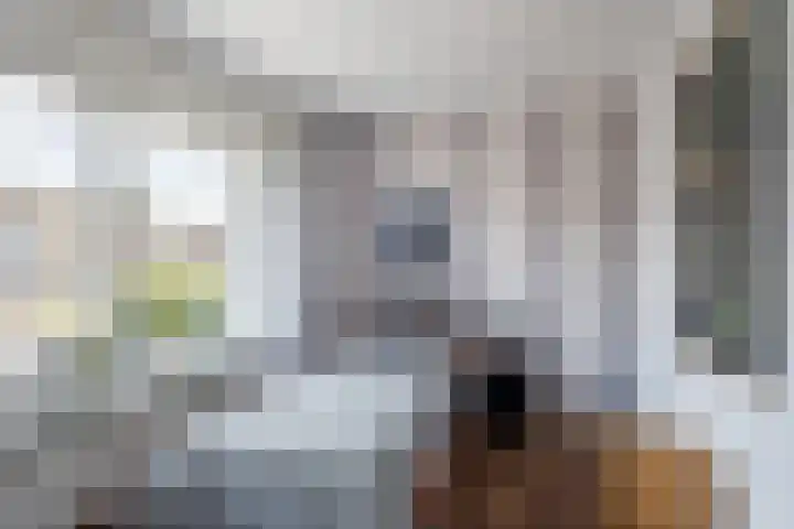ten Borchwardlaan 70 Heeze thumbnail 23