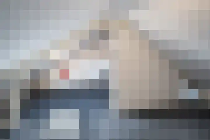 ten Borchwardlaan 70 Heeze thumbnail 28
