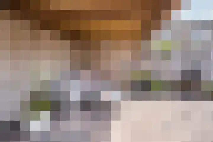 ten Borchwardlaan 70 Heeze thumbnail 31