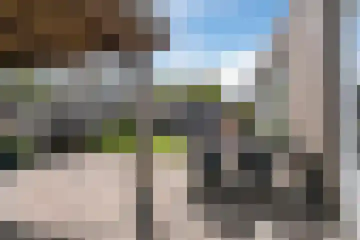ten Borchwardlaan 70 Heeze thumbnail 32