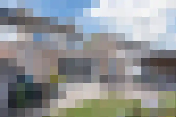 ten Borchwardlaan 70 Heeze thumbnail 33