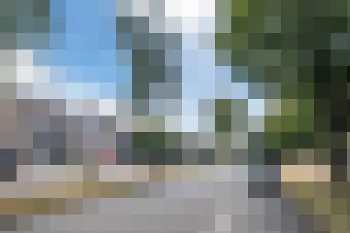 ten Borchwardlaan 70 Heeze thumbnail 34