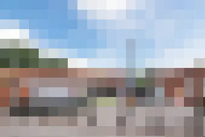 ten Borchwardlaan 70 Heeze thumbnail 36