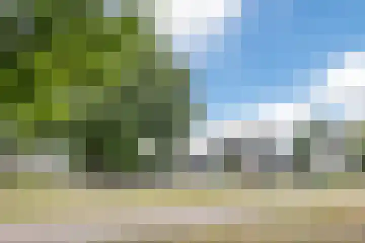 ten Borchwardlaan 70 Heeze thumbnail 37