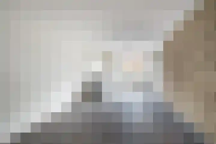 ten Borchwardlaan 70 Heeze thumbnail 38