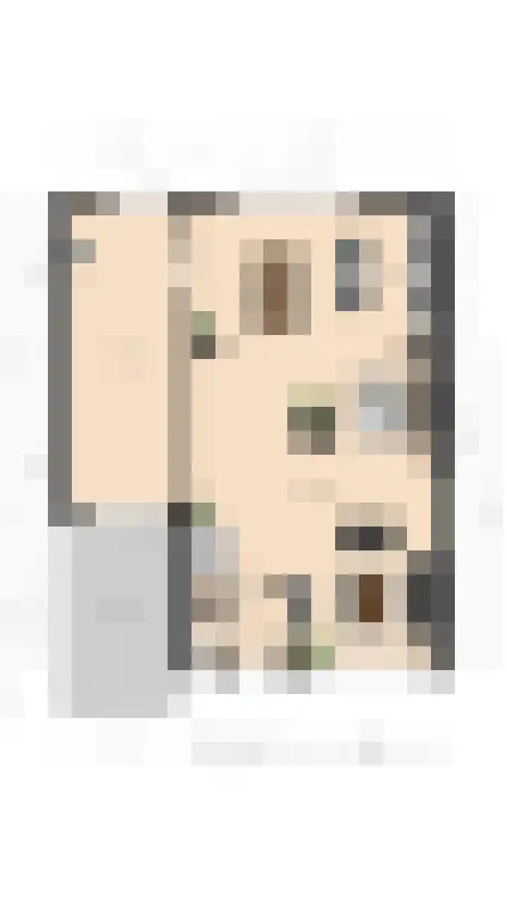 ten Borchwardlaan 70 Heeze thumbnail 39