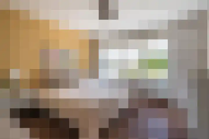ten Borchwardlaan 70 Heeze thumbnail 4