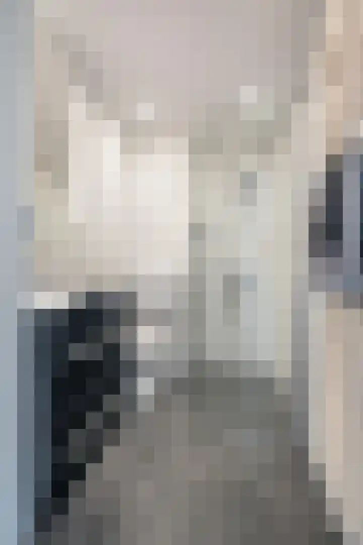 ten Borchwardlaan 70 Heeze thumbnail 5