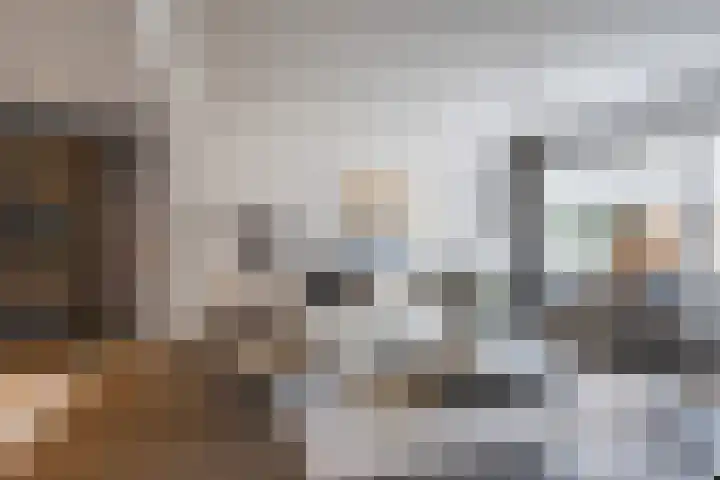 ten Borchwardlaan 70 Heeze thumbnail 8