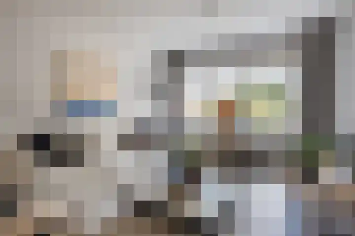 ten Borchwardlaan 70 Heeze thumbnail 9