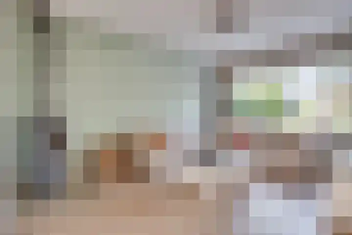 ten Borchwardlaan 82 Heeze thumbnail 12