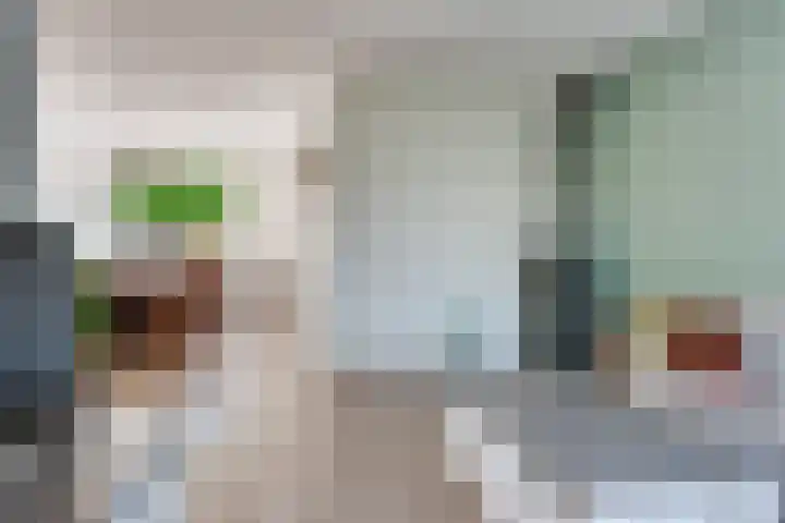 ten Borchwardlaan 82 Heeze thumbnail 14