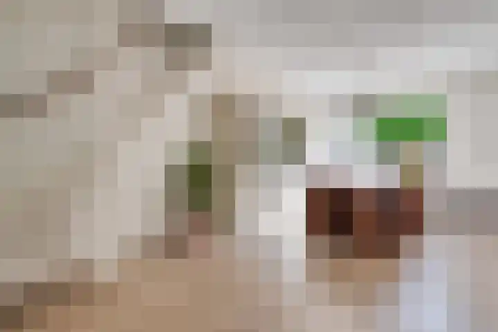 ten Borchwardlaan 82 Heeze thumbnail 15