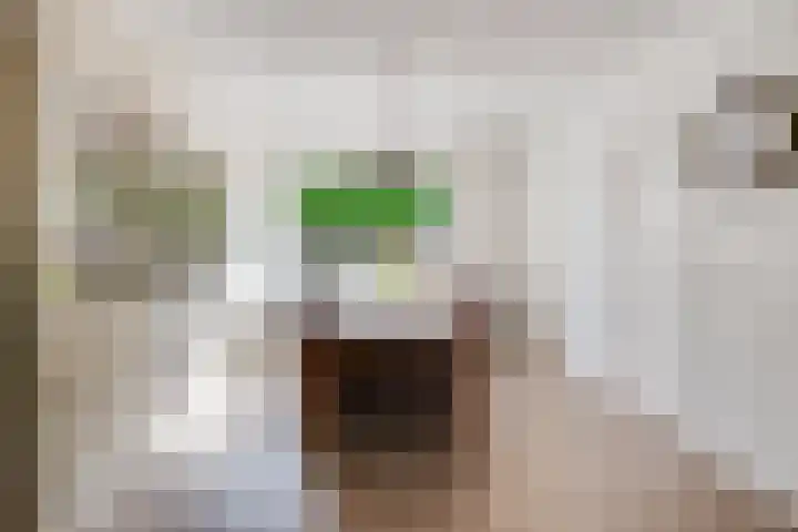 ten Borchwardlaan 82 Heeze thumbnail 16
