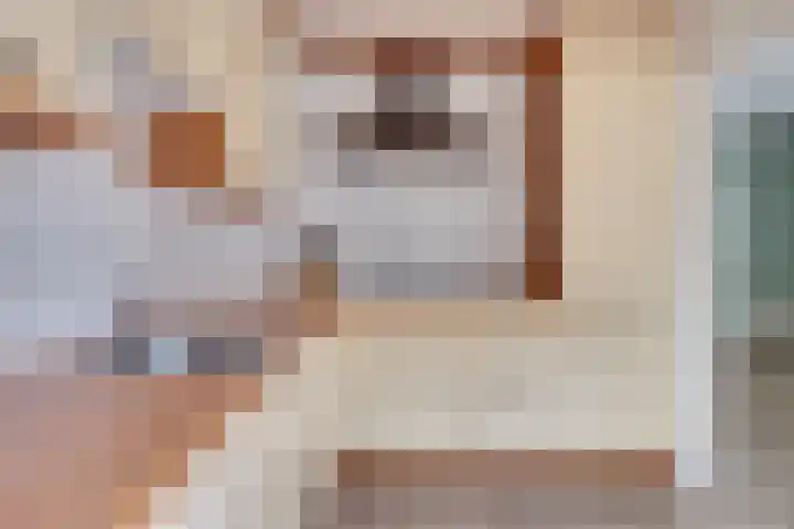 ten Borchwardlaan 82 Heeze thumbnail 21