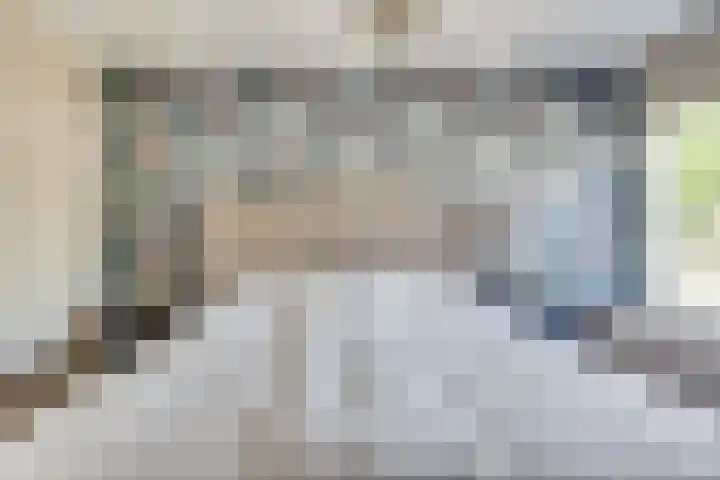 ten Borchwardlaan 82 Heeze thumbnail 23