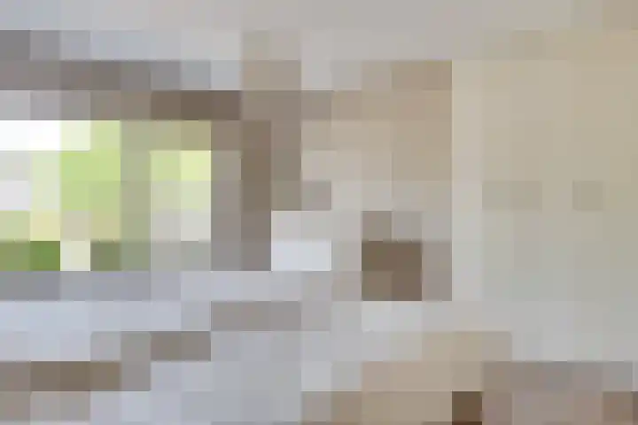 ten Borchwardlaan 82 Heeze thumbnail 24