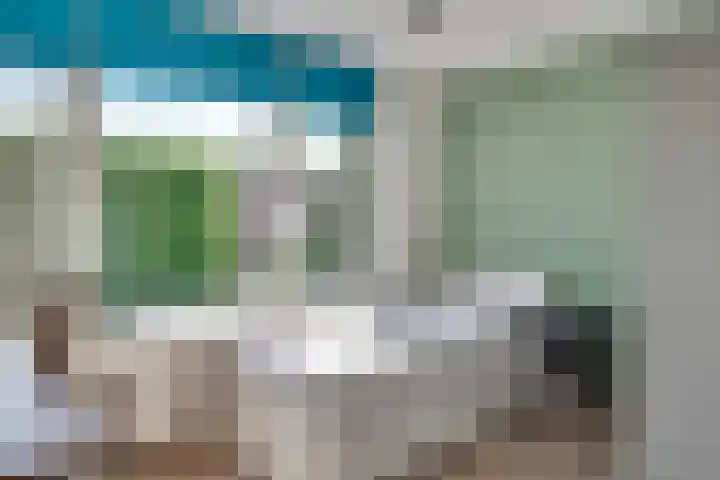ten Borchwardlaan 82 Heeze thumbnail 25