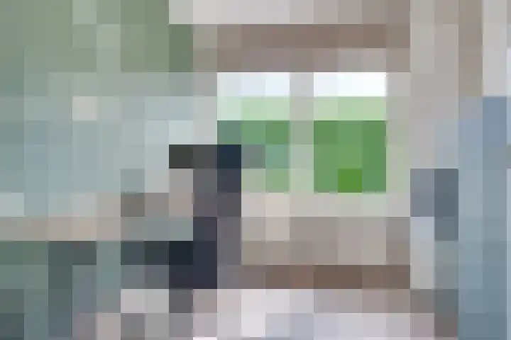 ten Borchwardlaan 82 Heeze thumbnail 28