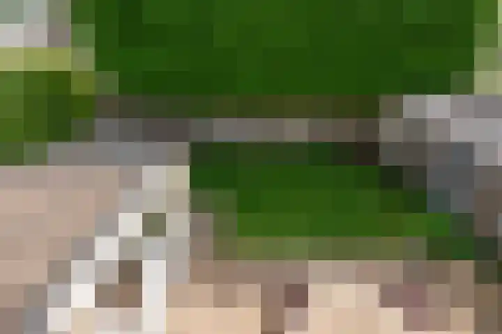 ten Borchwardlaan 82 Heeze thumbnail 29