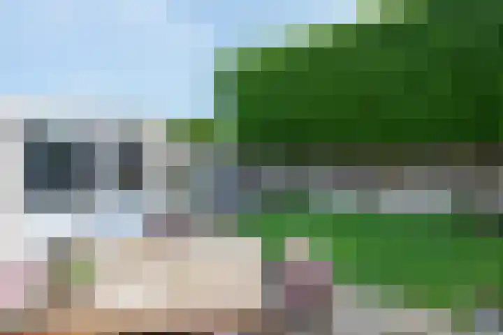 ten Borchwardlaan 82 Heeze thumbnail 36