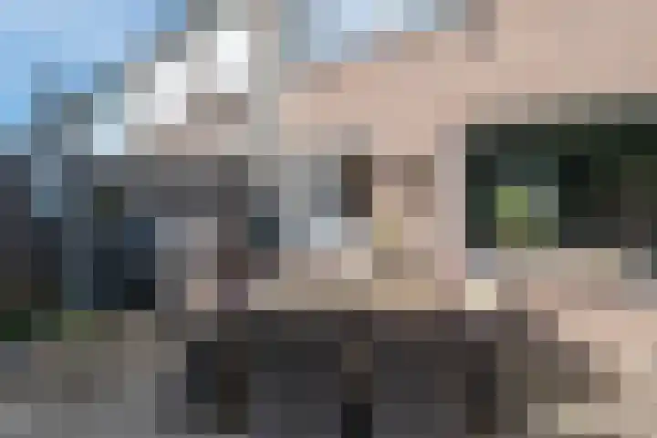ten Borchwardlaan 82 Heeze thumbnail 37