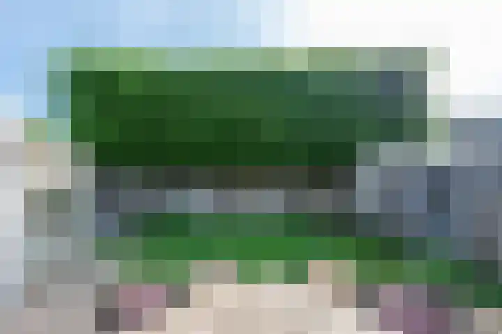 ten Borchwardlaan 82 Heeze thumbnail 38