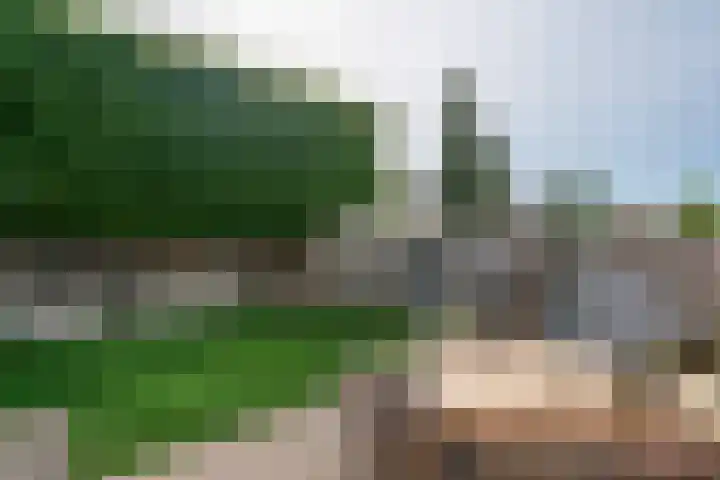 ten Borchwardlaan 82 Heeze thumbnail 39