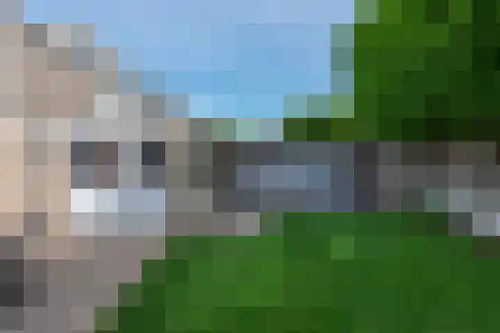 ten Borchwardlaan 82 Heeze thumbnail 40