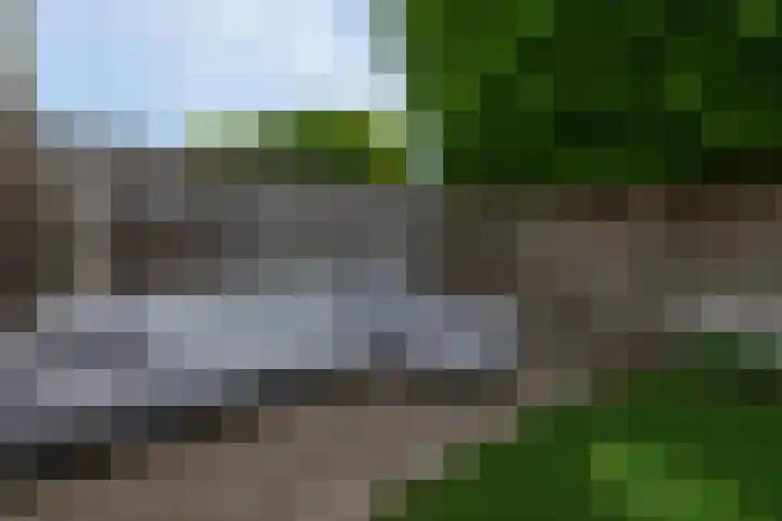ten Borchwardlaan 82 Heeze thumbnail 41