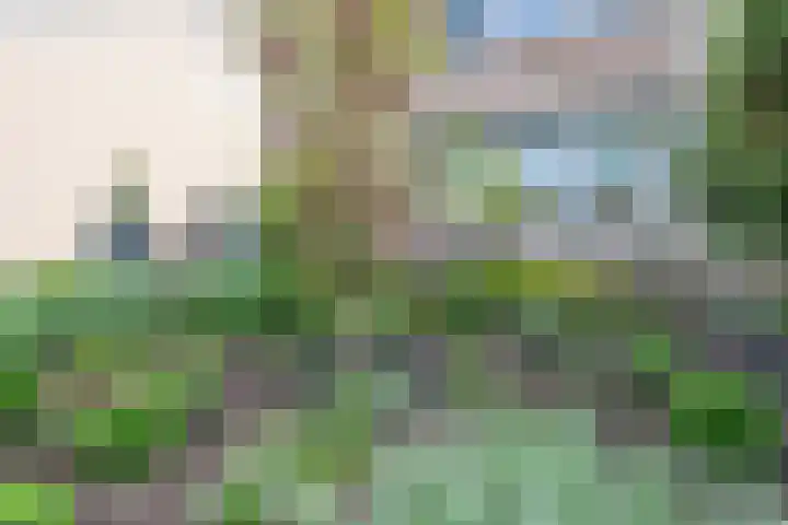 ten Borchwardlaan 82 Heeze thumbnail 6
