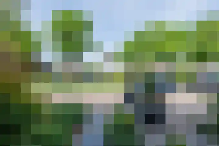 ten Borchwardlaan 82 Heeze thumbnail 7