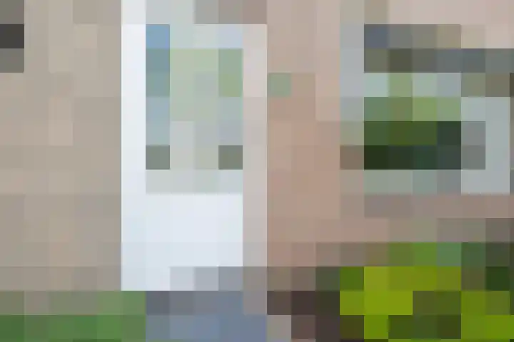 ten Borchwardlaan 82 Heeze thumbnail 8