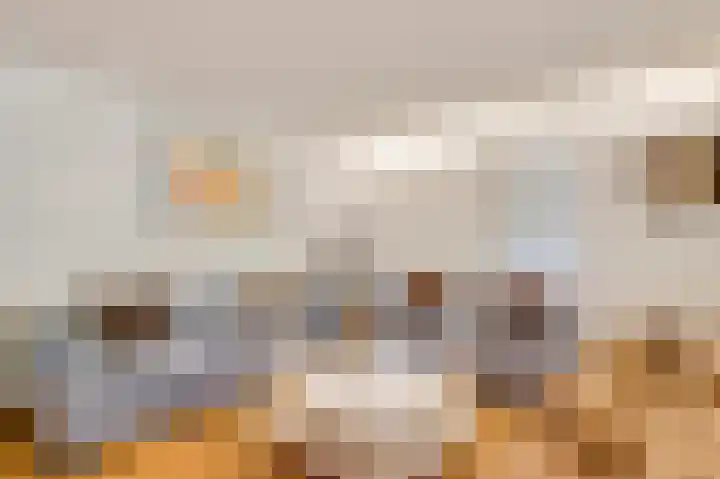 ten Brakeweg 30 Sterksel thumbnail 13