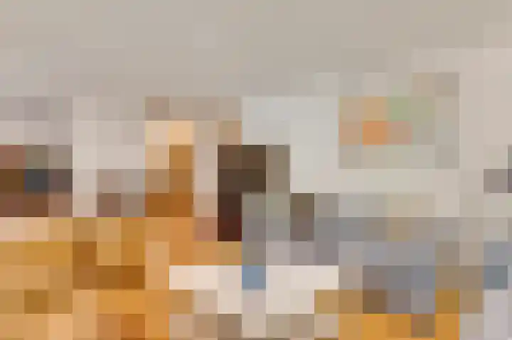 ten Brakeweg 30 Sterksel thumbnail 14
