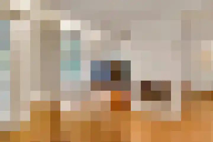 ten Brakeweg 30 Sterksel thumbnail 15