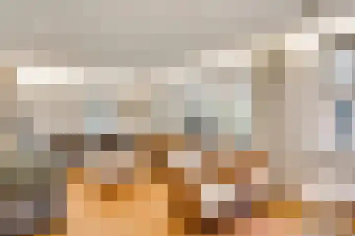 ten Brakeweg 30 Sterksel thumbnail 17