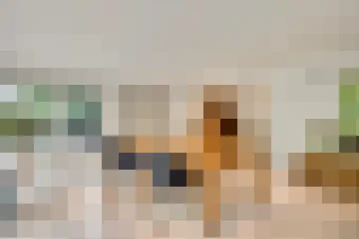 ten Brakeweg 30 Sterksel thumbnail 18