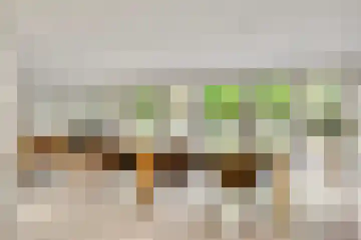 ten Brakeweg 30 Sterksel thumbnail 19