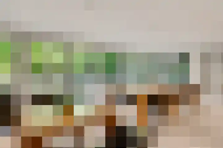 ten Brakeweg 30 Sterksel thumbnail 20